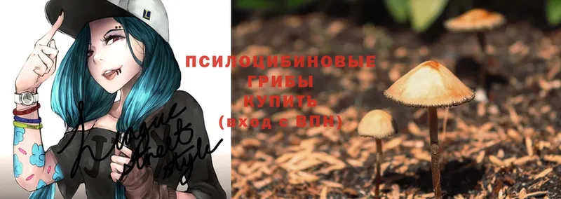 Галлюциногенные грибы Psilocybine cubensis  blacksprut ТОР  Лысково  где продают  